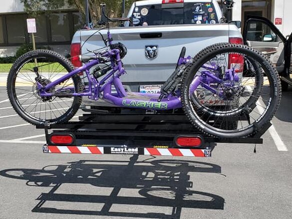 purplehandrikeontray